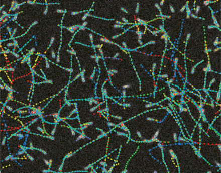 Particle Tracking Challenge