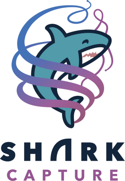 Colorful cartoon shark logo