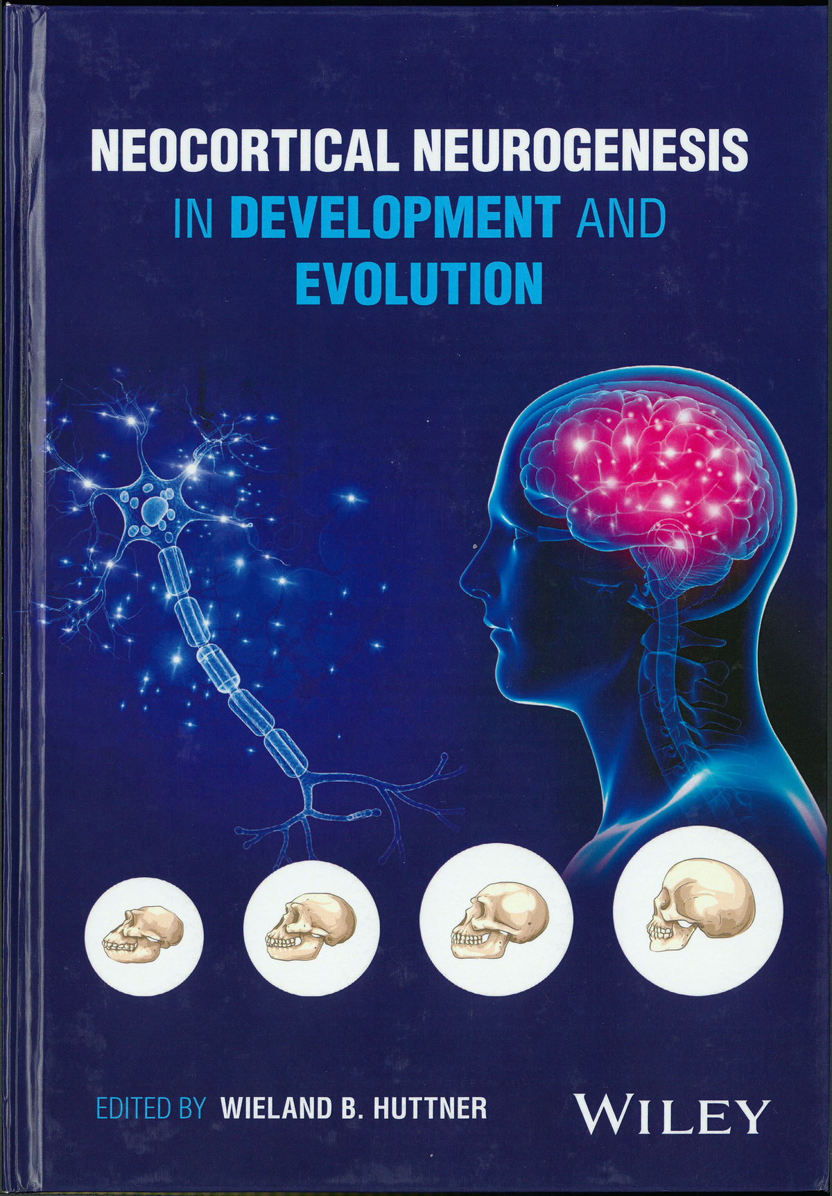 Understanding the development and evolution of the mammalian