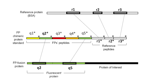 FP quantification with qFP8