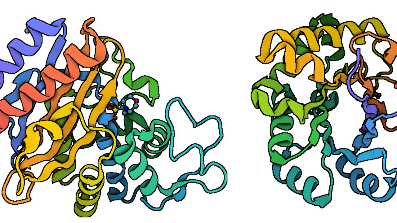 Group Members: MPI-CBG